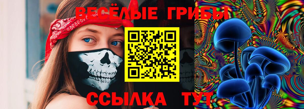 Галлюциногенные грибы мухоморы  Галлюциногенные грибы мухоморы  Балашиха 