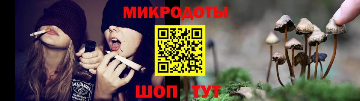 Галлюциногенные грибы Cubensis  где продают   Вход с VPN  Балашиха  Галлюциногенные грибы Magic Shrooms 